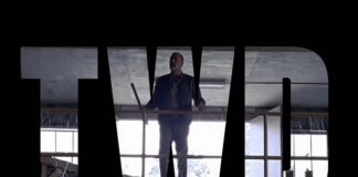 the Walking Dead: Season 9
