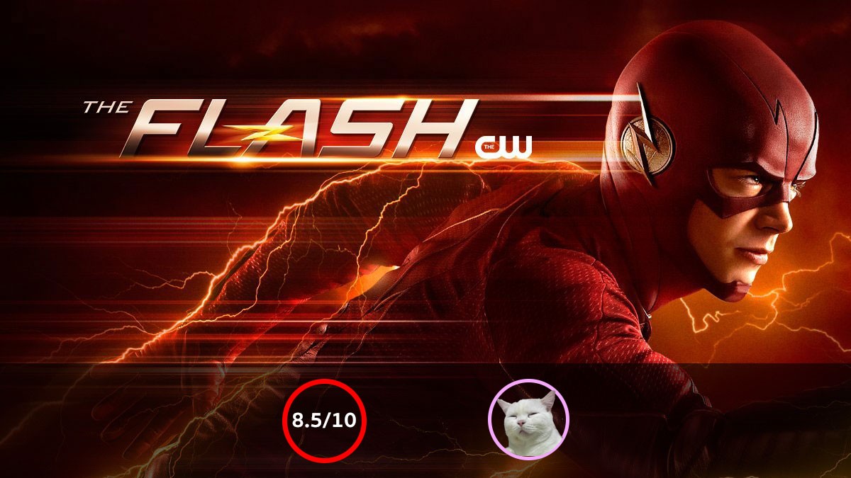 The Flash ฮีโร่เหนือแสงผู้เปิดจักรวาล ArrowVerse [รีวิว] แมวโม้ดอทคอม