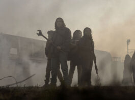 The Walking Dead - New Series (Spring 2020)